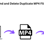 find-and-delete-duplicate-mp4-files